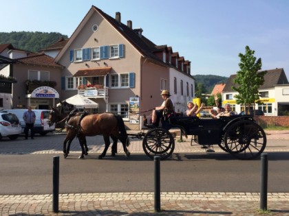 Фото: Landgasthof zum Ochsen